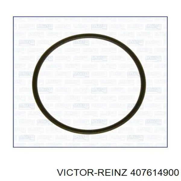 Junta, bomba de vacío 407614900 Victor Reinz