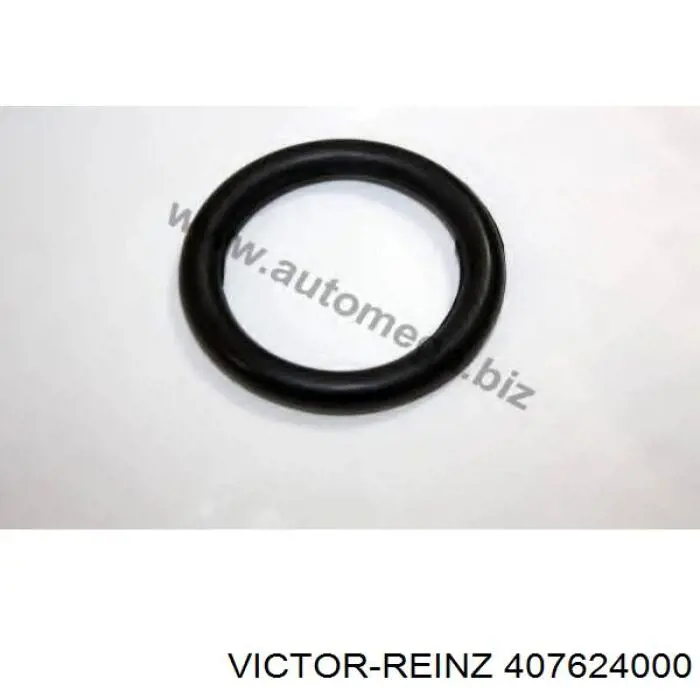 Прокладка впускного коллектора 407624000 Victor Reinz