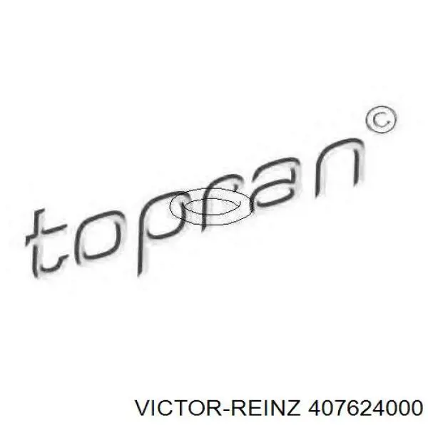 Прокладка коллектора впуск Victor Reinz 407624000