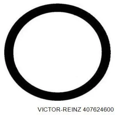 Купить 407624600 Victor Reinz Прокладка впускного коллектора