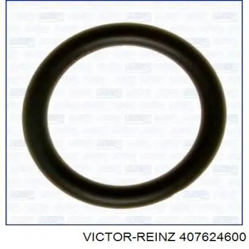 Прокладка коллектора впуск Victor Reinz 407624600