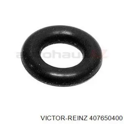 Junta anular, inyector 407650400 Victor Reinz