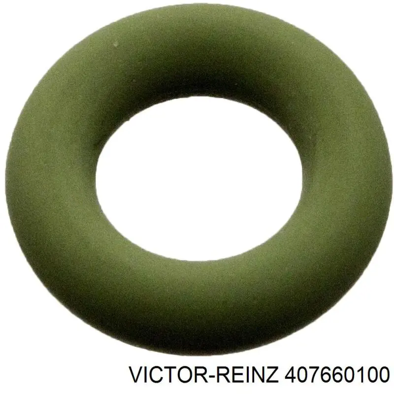 407660100 Victor Reinz