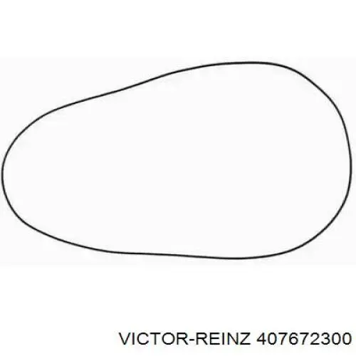 Прокладка клапанной крышки двигателя, кольцо Victor Reinz 407672300