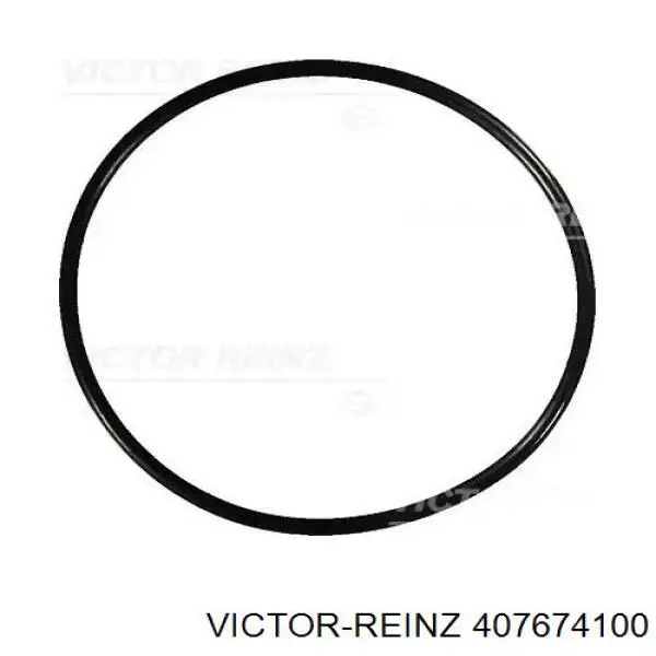 Прокладка клапанной крышки двигателя, кольцо Victor Reinz 407674100