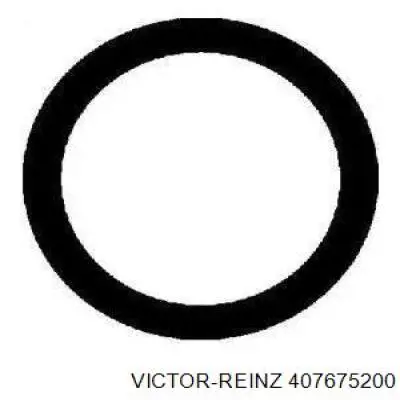 Прокладка впускного коллектора 034843 Peugeot/Citroen