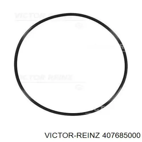 Кольцо уплотнительное под гильзу двигателя Victor Reinz 407685000