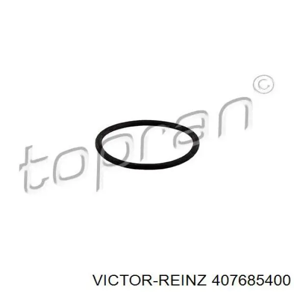 Прокладка впускного коллектора 407685400 Victor Reinz
