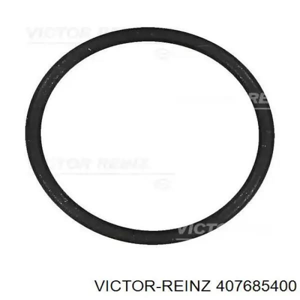 Прокладка впускного коллектора Victor Reinz 407685400