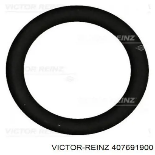 407691900 Victor Reinz