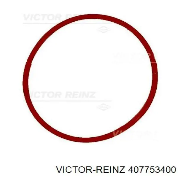 Прокладка впускного коллектора Victor Reinz 407753400