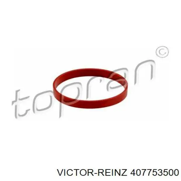 Прокладка EGR-клапана рециркуляции Victor Reinz 407753500