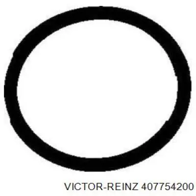407754200 Victor Reinz прокладка впускного коллектора