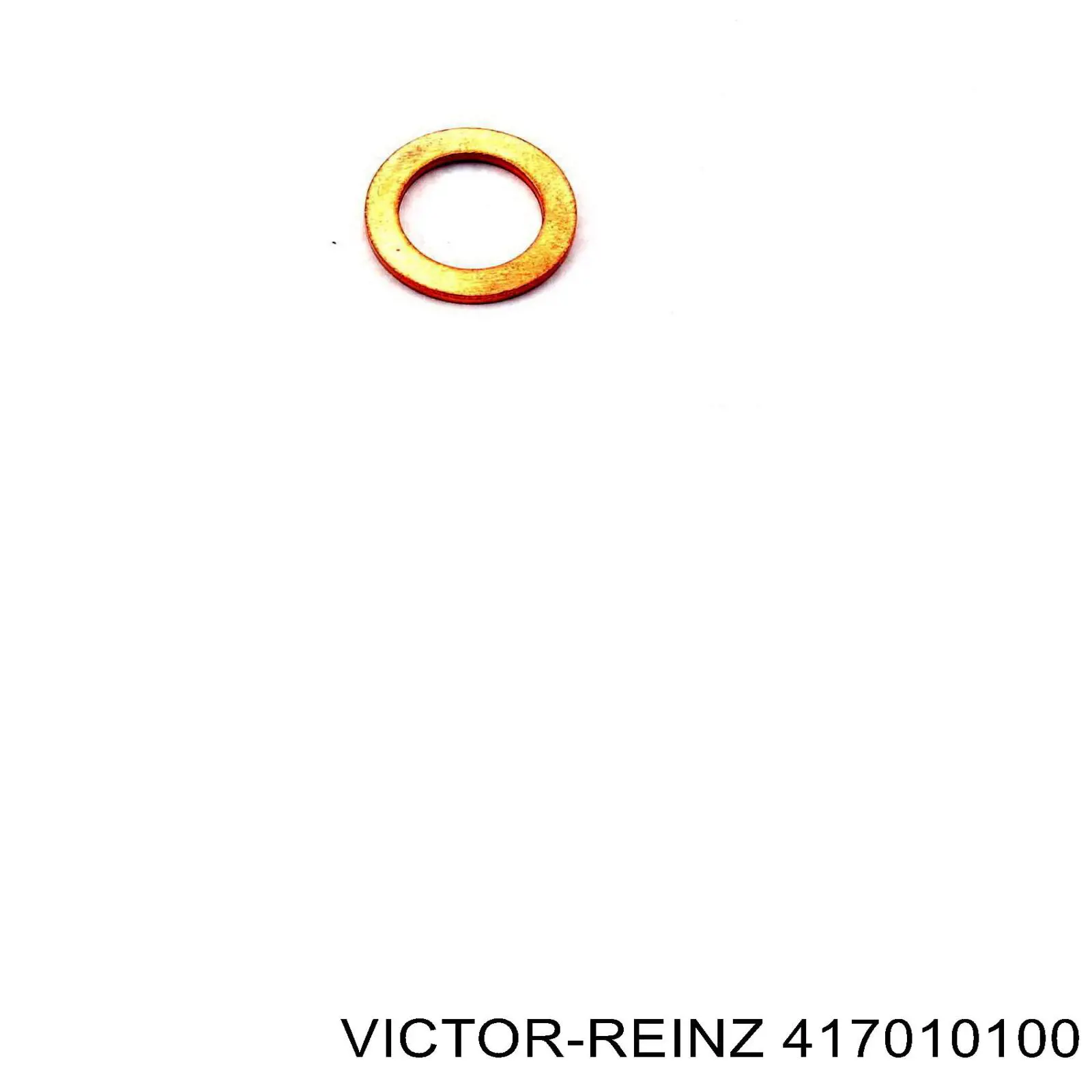 417010100 Victor Reinz