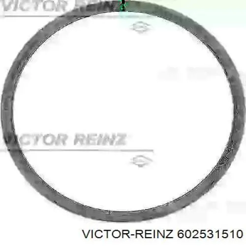 Прокладка ГБЦ 602531510 Victor Reinz