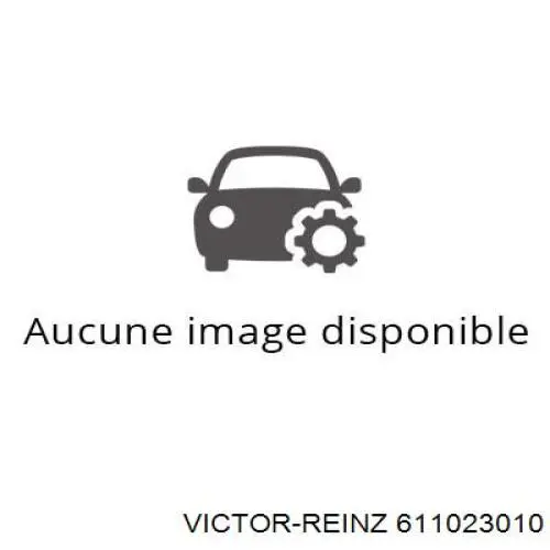 611023010 Victor Reinz