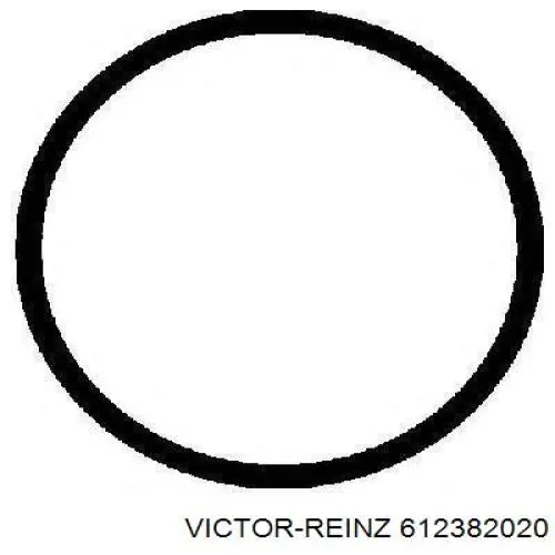 612382020 Victor Reinz