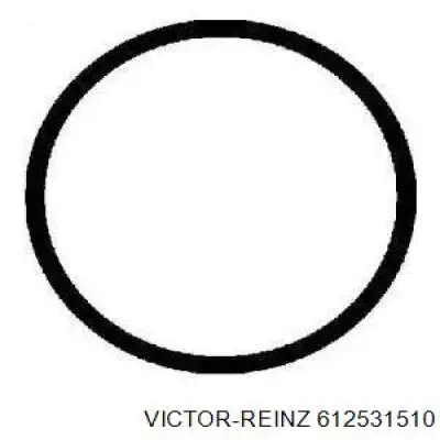 Прокладка ГБЦ 612531510 Victor Reinz