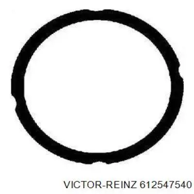 612547540 Victor Reinz Прокладка головки блока