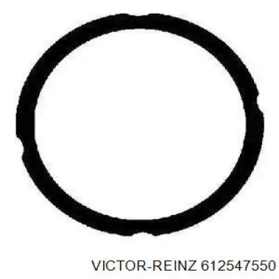 612547550 Victor Reinz Прокладка головки блока