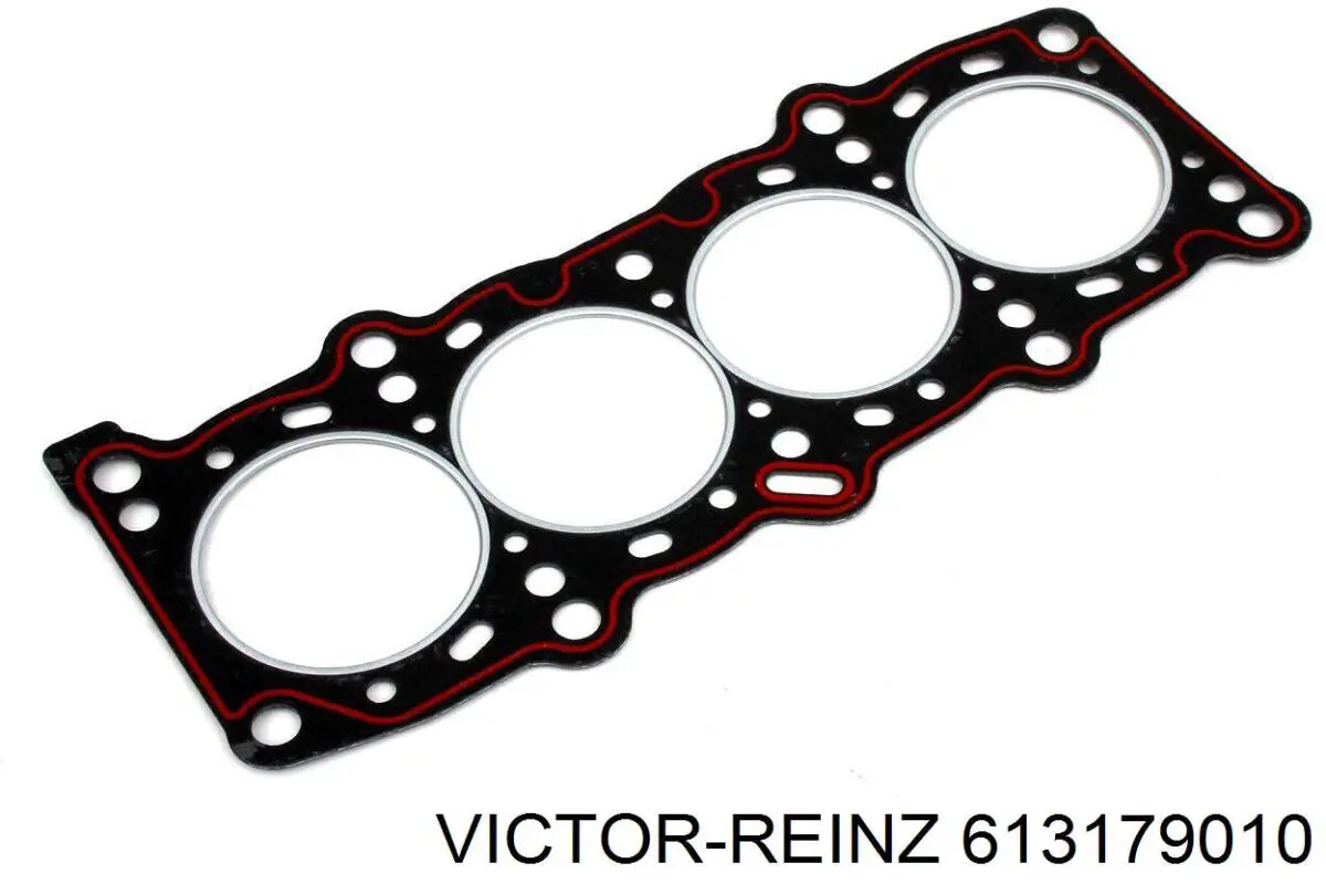 613179010 Victor Reinz