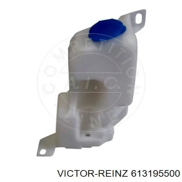 613195500 Victor Reinz Прокладка головки блока