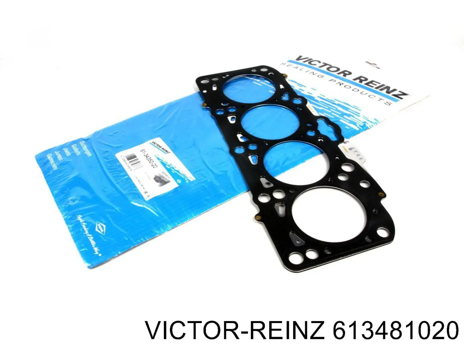 613481020 Victor Reinz