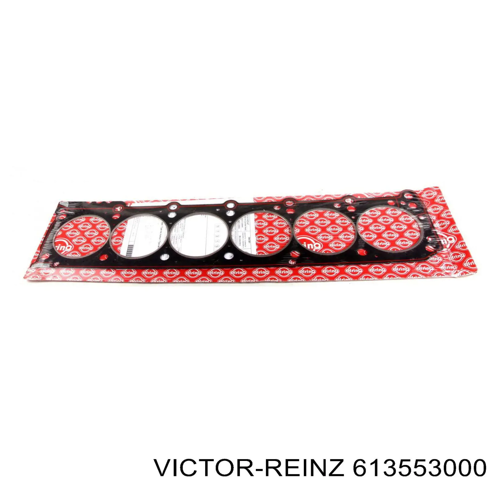 613553000 Victor Reinz