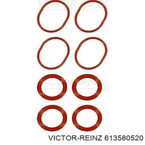 61-35805-20 Victor Reinz vedante de cabeça de motor (cbc)