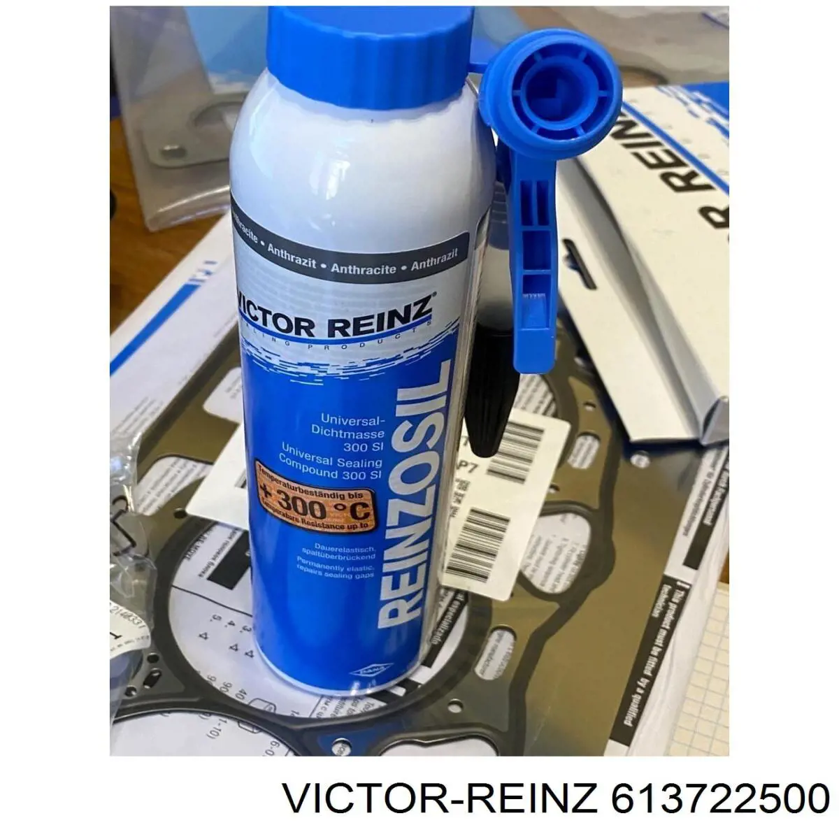 613722500 Victor Reinz