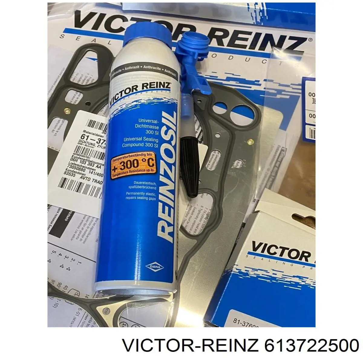 613722500 Victor Reinz
