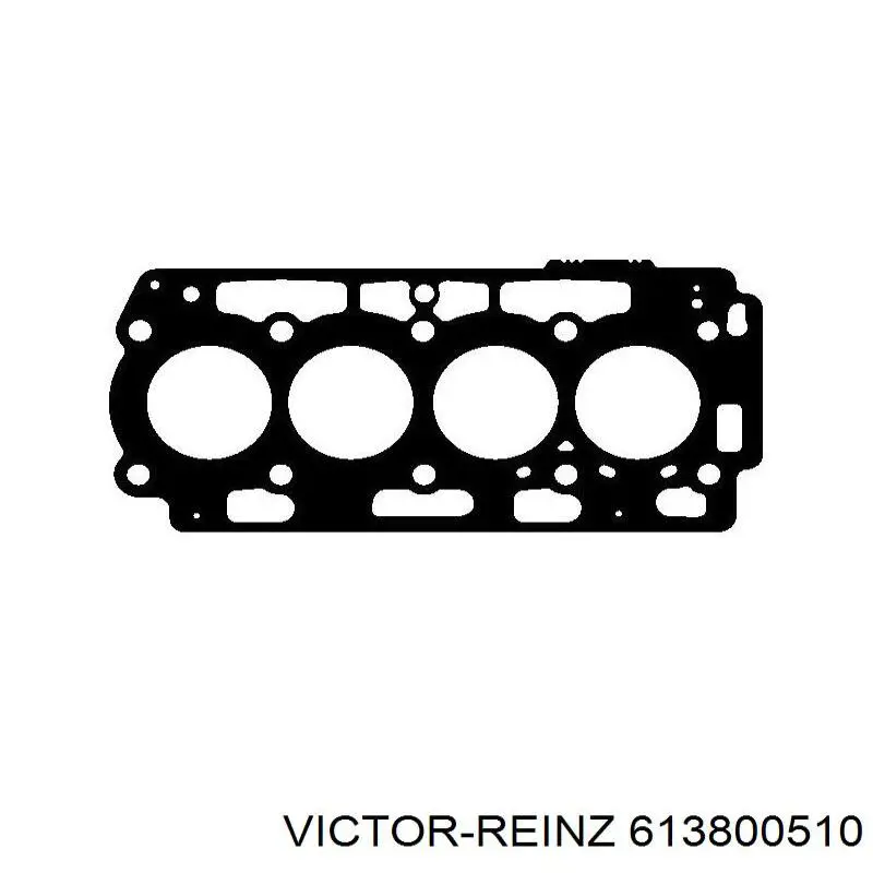 613800510 Victor Reinz