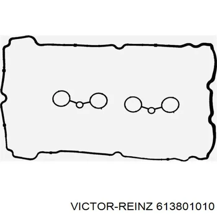 613801010 Victor Reinz