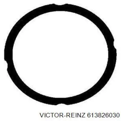 613826030 Victor Reinz Прокладка головки блока