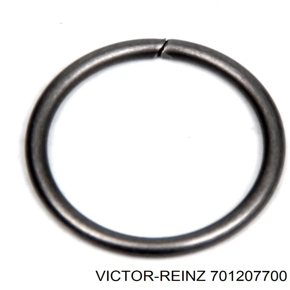Уплотнительное кольцо форсунок  Victor Reinz 701207700