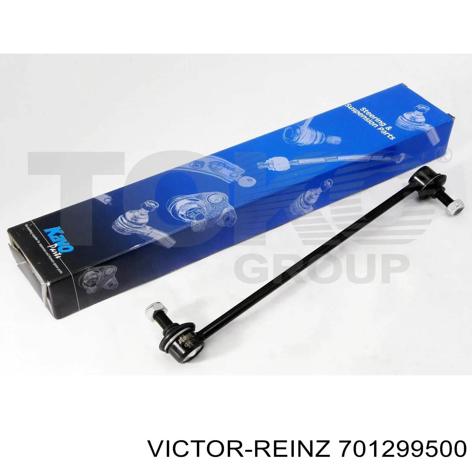 701299500 Victor Reinz