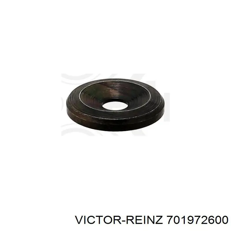 Кольцо форсунки 701972600 Victor Reinz