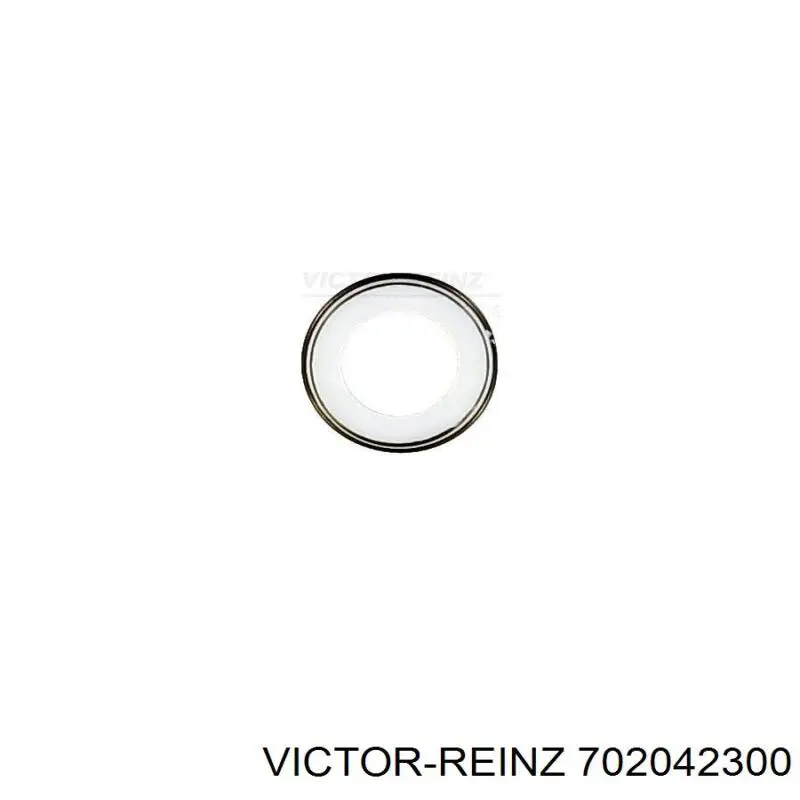 Сальник клапана (маслосъёмный) выпускного Victor Reinz 702042300