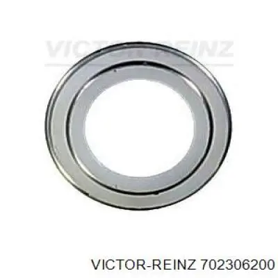 70-23062-00 Victor Reinz bucim de válvula (coletor de óleo, admissão/escape)