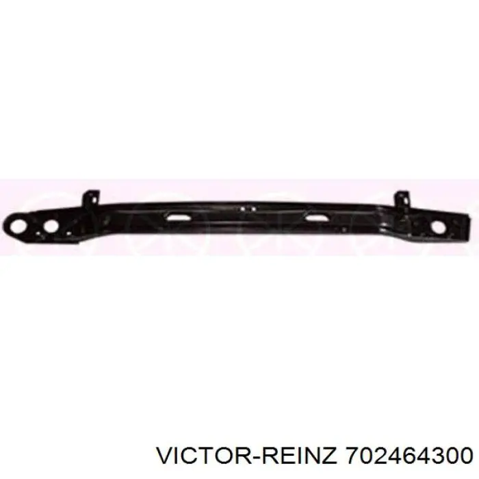 Заглушка ГБЦ 702464300 Victor Reinz