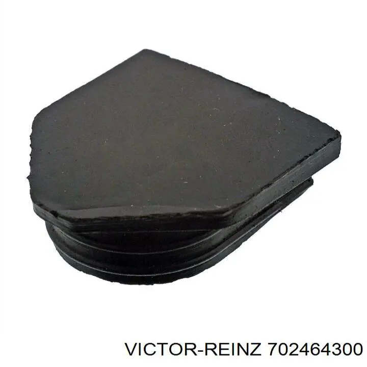 Купить 702464300 Victor Reinz Заглушка ГБЦ