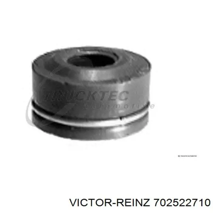 70-25227-10 Victor Reinz сальник клапана (маслосъёмный впускного)