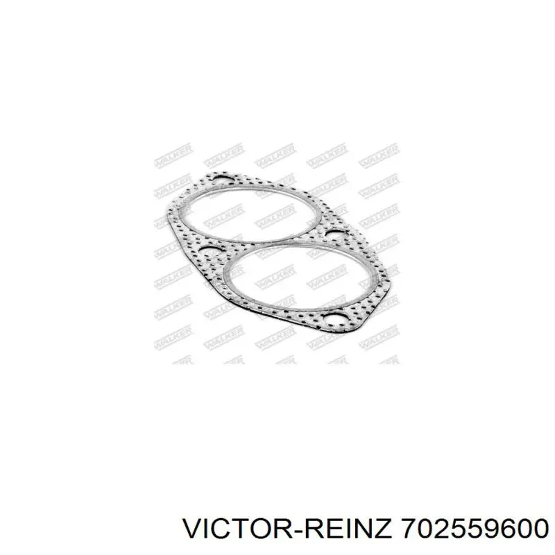 702559600 Victor Reinz Прокладка штанов