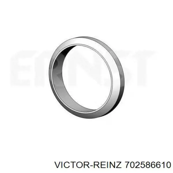 702586610 Victor Reinz