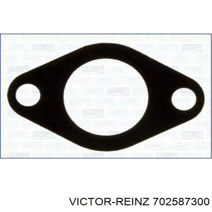 Прокладка ТНВД 702587300 Victor Reinz