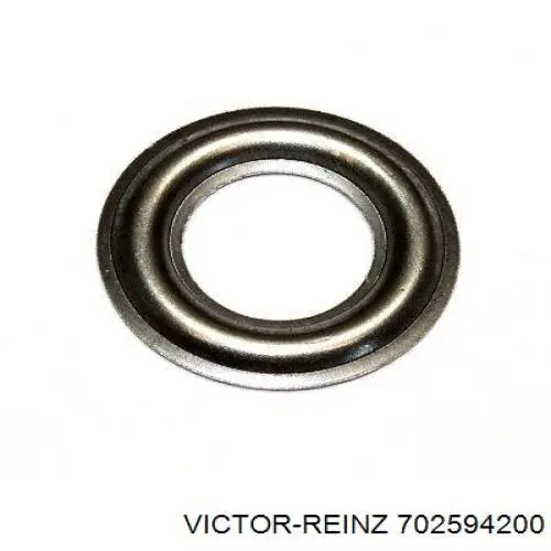 70-25942-00 Victor Reinz прокладка клапанной крышки