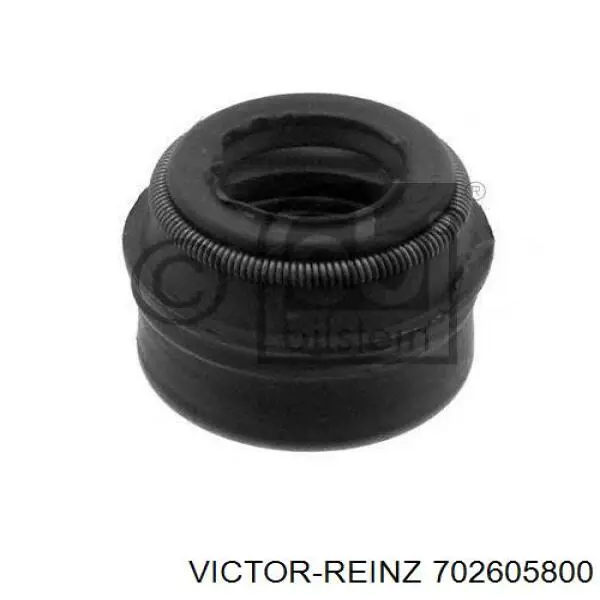 702605800 Victor Reinz