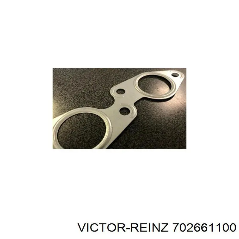 702661100 Victor Reinz