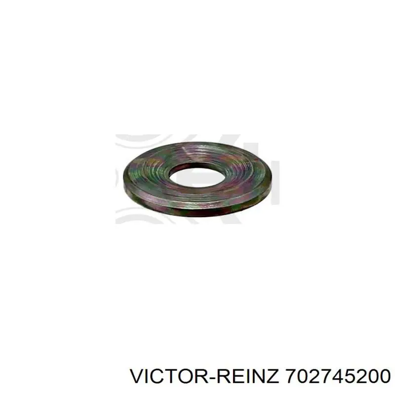 Купить 702745200 Victor Reinz Кольцо инжектора
