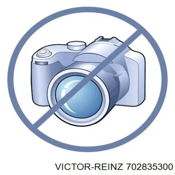 Прокладка поддона картера 702835300 Victor Reinz